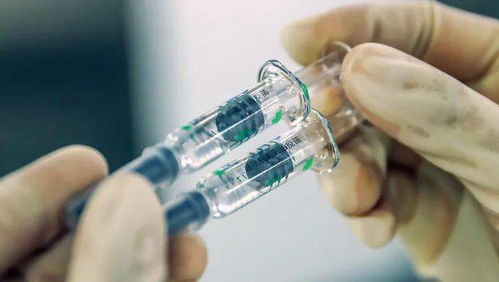 九個市民關心的疫苗問題，電力科研專家來解答